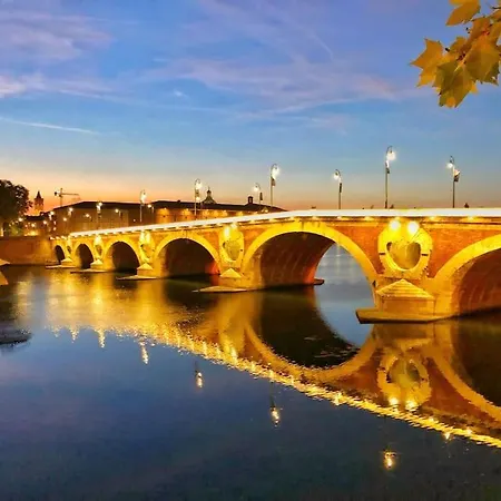 شقة Le Pique De Falguiere - Centre - Gare - Netflix