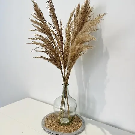 شقة Le Pique De Falguiere - Centre - Gare - Netflix