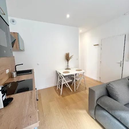 Apartment Le Pique De Falguiere - Centre - Gare - Netflix *