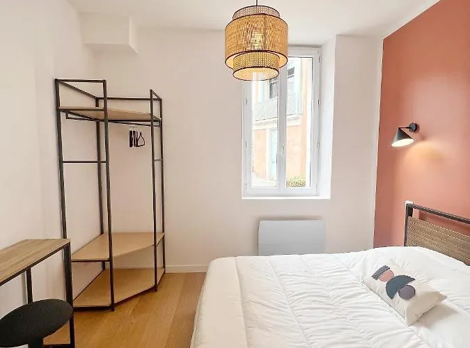 Le Pique De Falguiere - Centre - Gare - Netflix Toulouse