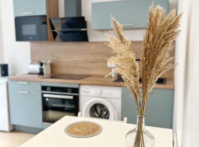 Apartamento Le Pique De Falguiere - Centre - Gare - Netflix *