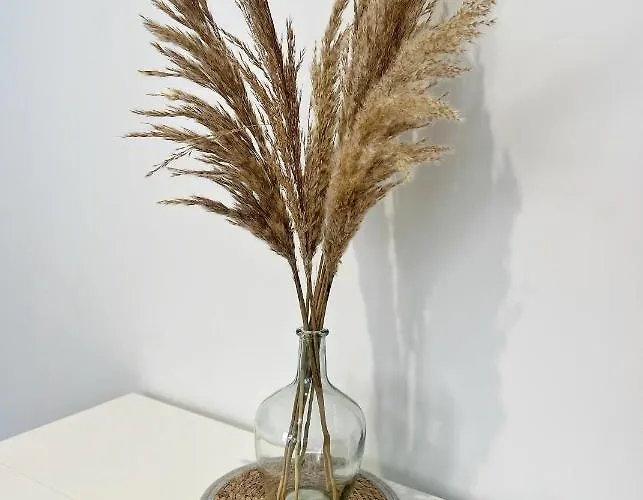 Апартаменты Le Pique De Falguiere - Centre - Gare - Netflix